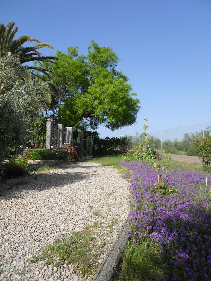 La Aragonesa Guest House Marmolejo Eksteriør bilde